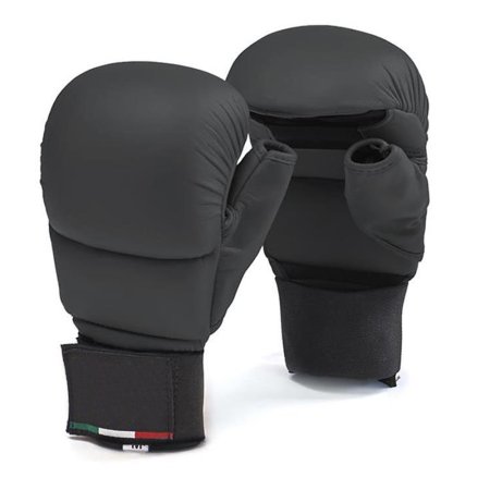 Karate Mitt