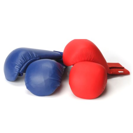 Karate Mitt