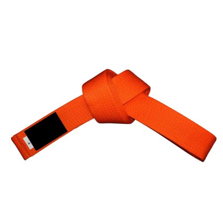 Karate Belt