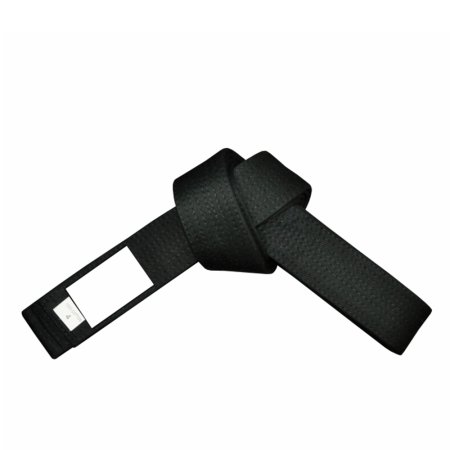 Karate Belt