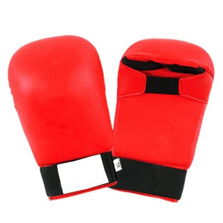Karate Mitt