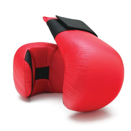 Karate Mitt