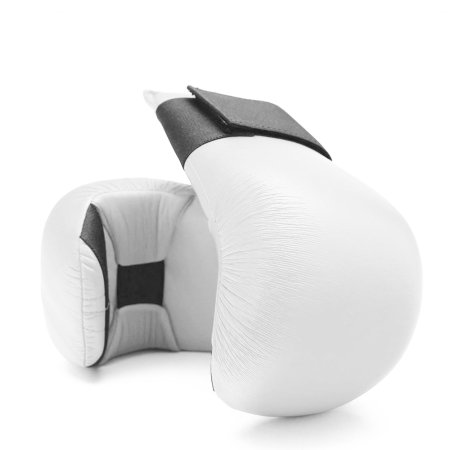 Karate Mitt