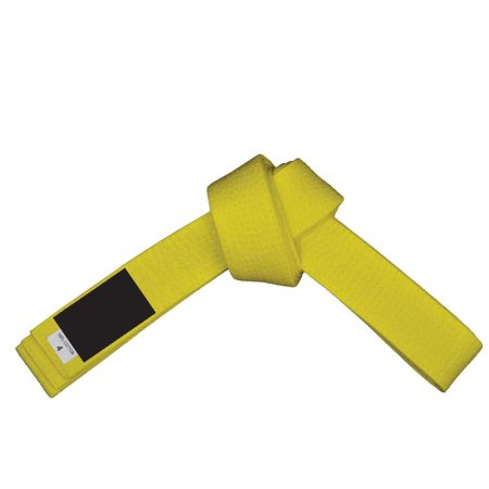 Karate Belt