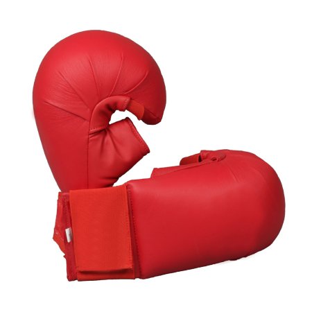Karate Mitt