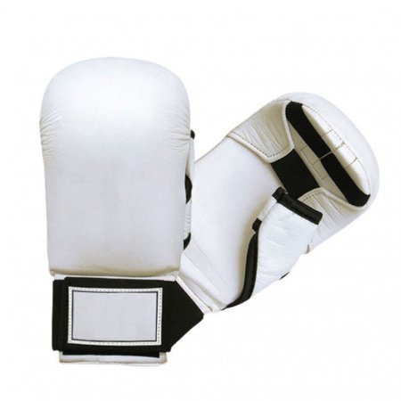 Karate Mitt