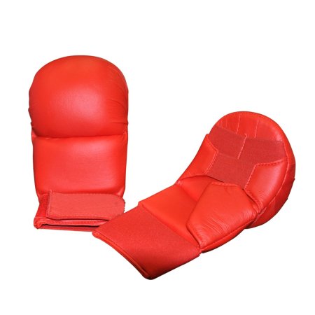 Karate Mitt