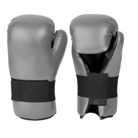 Karate Mitt