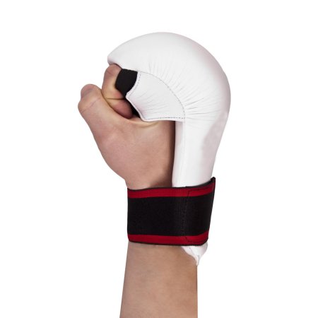 Karate Mitt